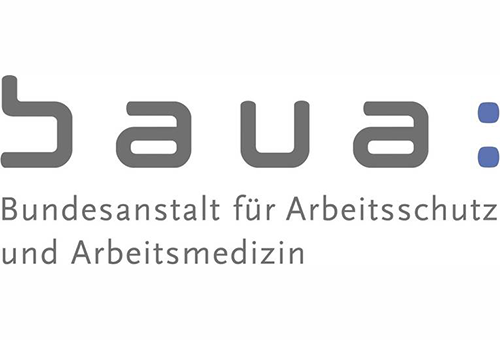 Logo baua